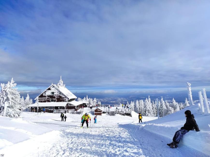 Osrodek Wypoczynkowy Zapalenica Bed & Breakfast Szczyrk Exterior photo